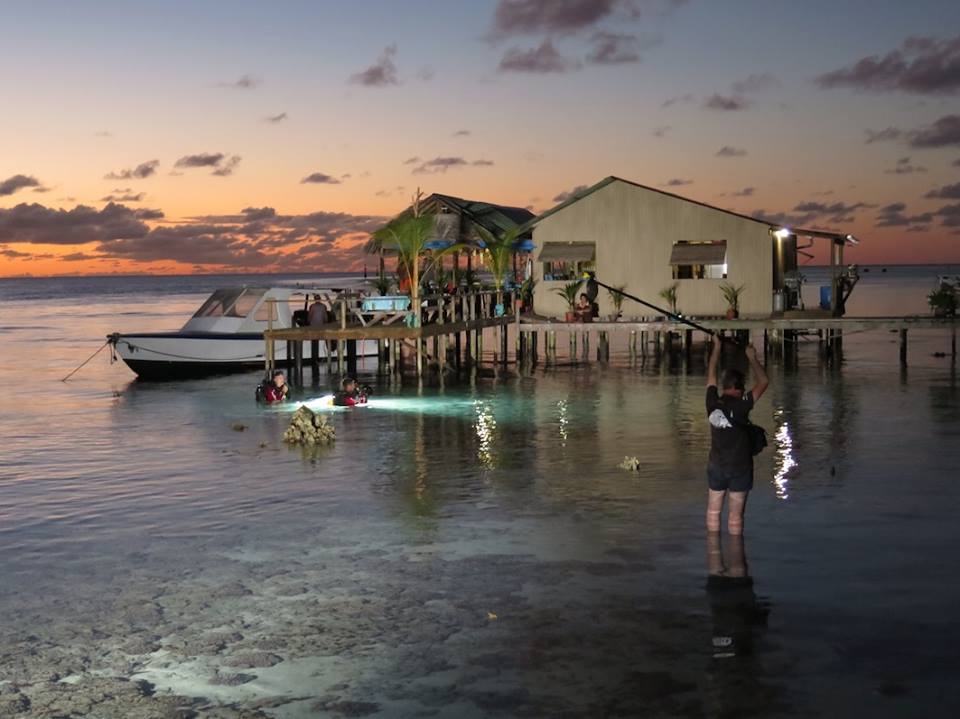 10565229_705240959548835_8547157511864921318_n