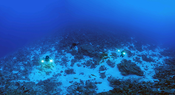 Panorama_3_cameramen_and_a_few_groupers-72